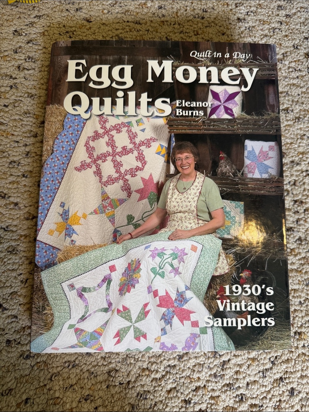 Egg Money Quilts by Eleanor Burns - White & Multicolor Quilt Book